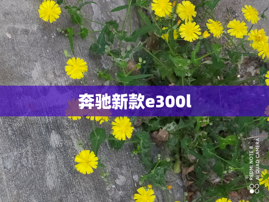 奔驰新款e300l
