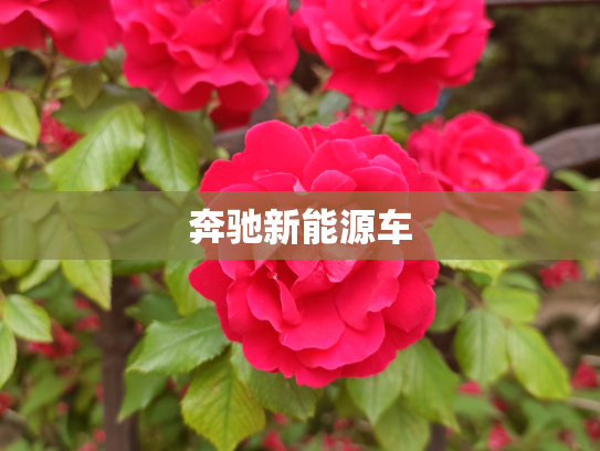 奔驰新能源车
