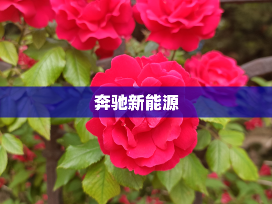奔驰新能源
