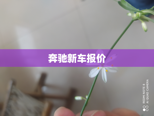 奔驰新车报价