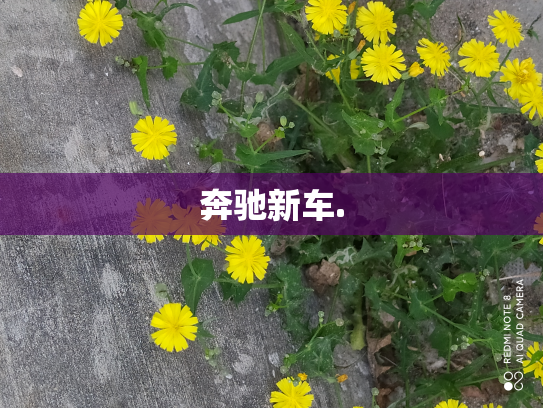 奔驰新车.