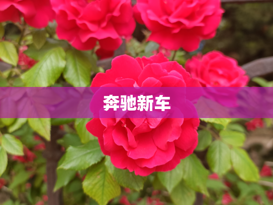 奔驰新车