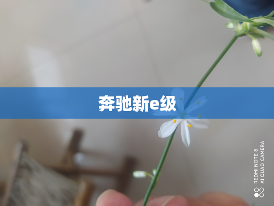 奔驰新e级
