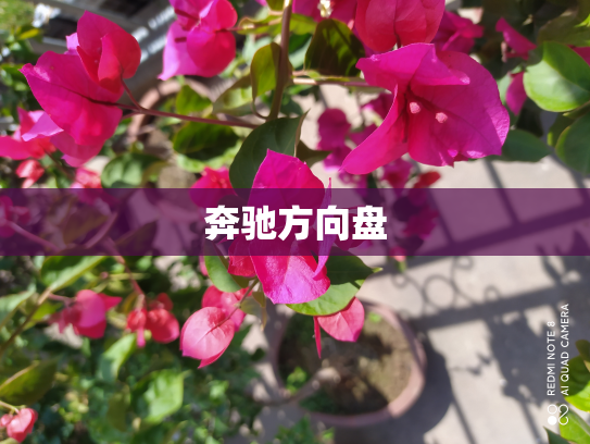 奔驰方向盘