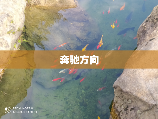 奔驰方向