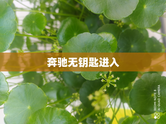 奔驰无钥匙进入