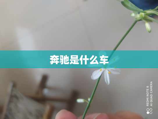 奔驰是什么车