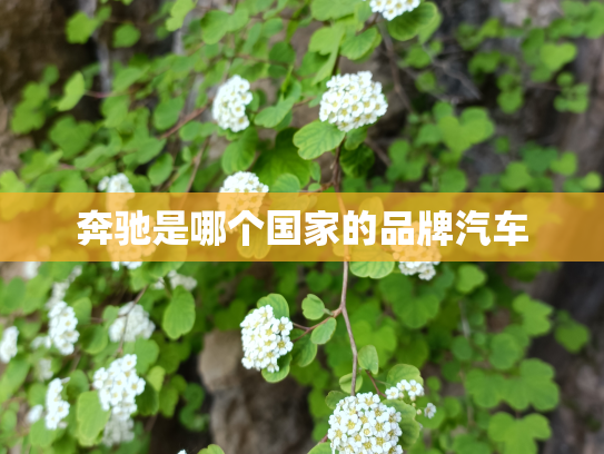 奔驰是哪个国家的品牌汽车