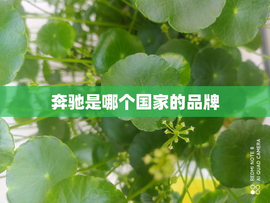 奔驰是哪个国家的品牌