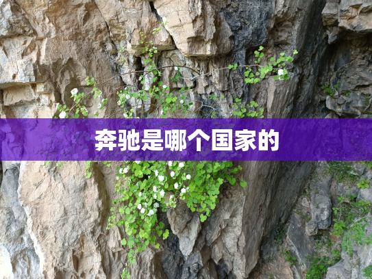 奔驰是哪个国家的