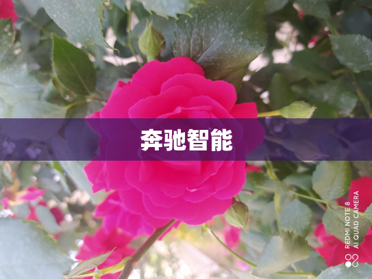 奔驰智能