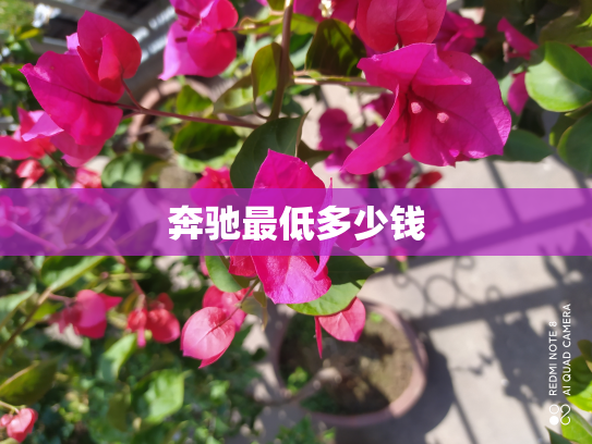 奔驰最低多少钱