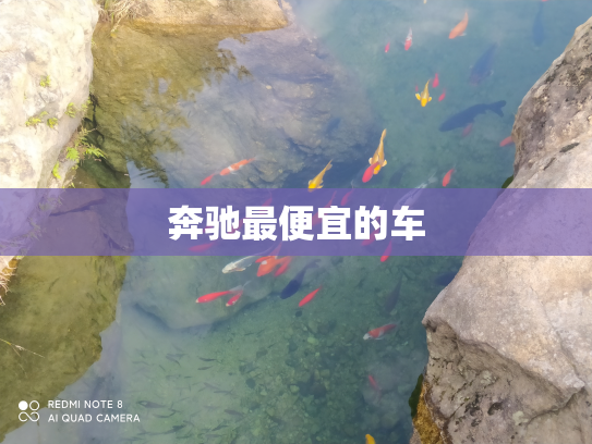 奔驰最便宜的车