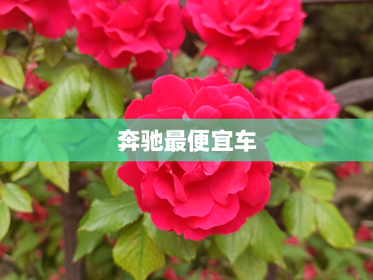 奔驰最便宜车