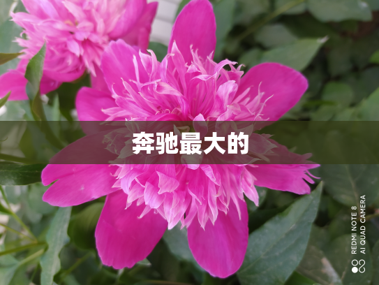 奔驰最大的