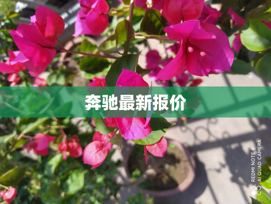 奔驰最新报价