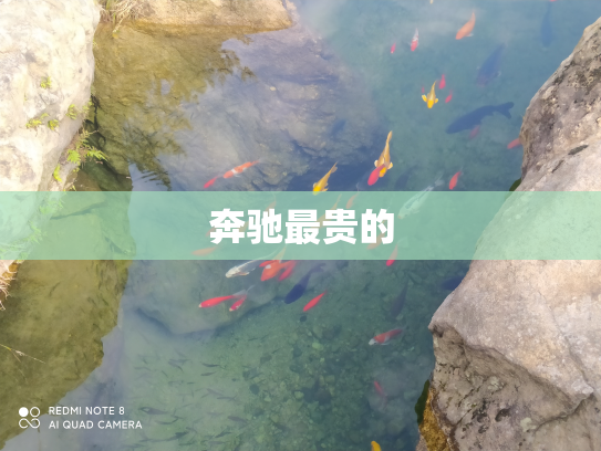 奔驰最贵的