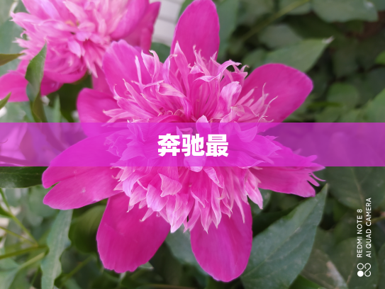 奔驰最