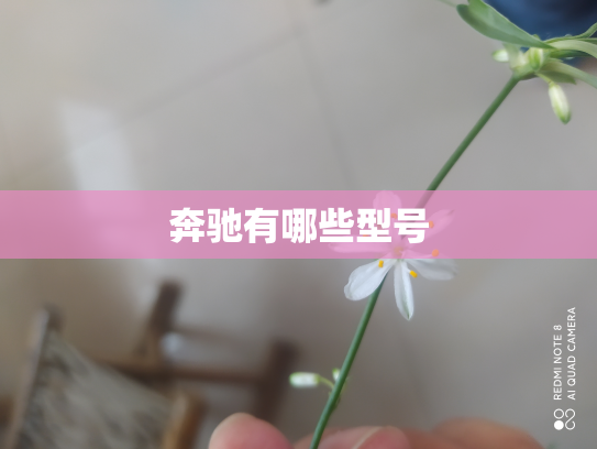 奔驰有哪些型号