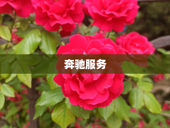 奔驰服务