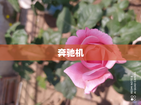 奔驰机