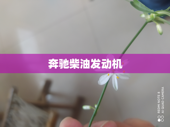 奔驰柴油发动机