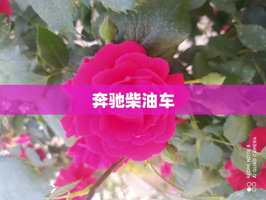 奔驰柴油车