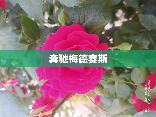 奔驰梅德赛斯