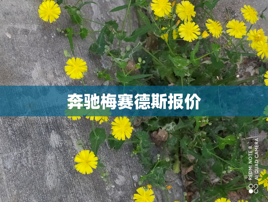 奔驰梅赛德斯报价