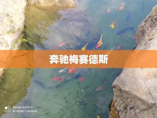 奔驰梅赛德斯