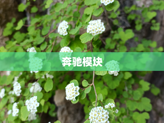 奔驰模块