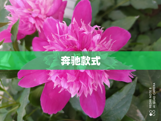 奔驰款式