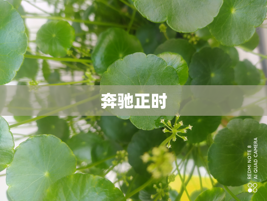奔驰正时