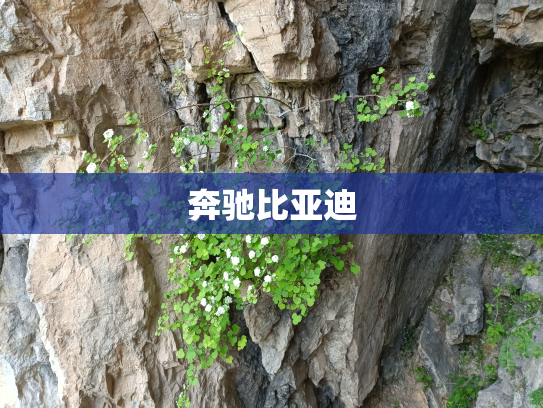奔驰比亚迪
