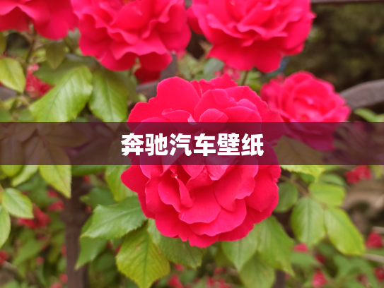 奔驰汽车壁纸