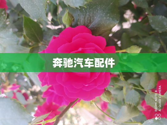 奔驰汽车配件