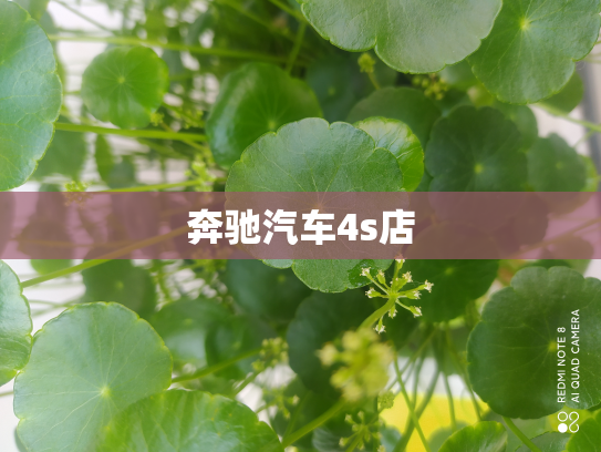奔驰汽车4s店