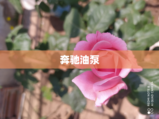 奔驰油泵
