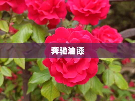 奔驰油漆