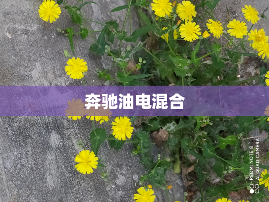 奔驰油电混合