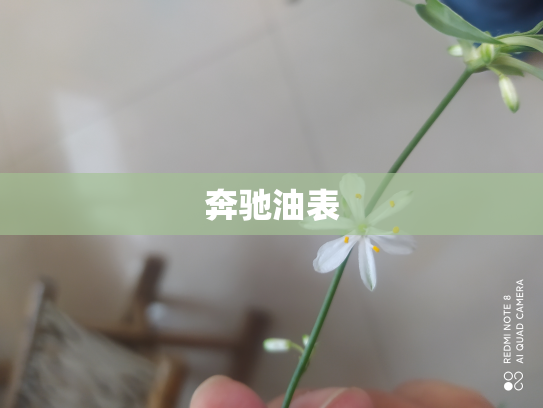 奔驰油表