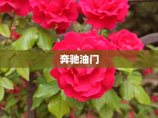 奔驰油门