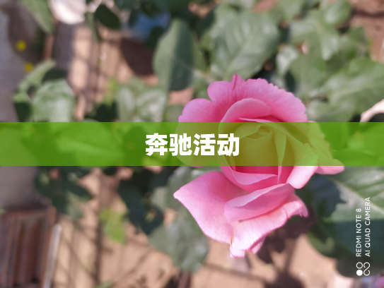 奔驰活动