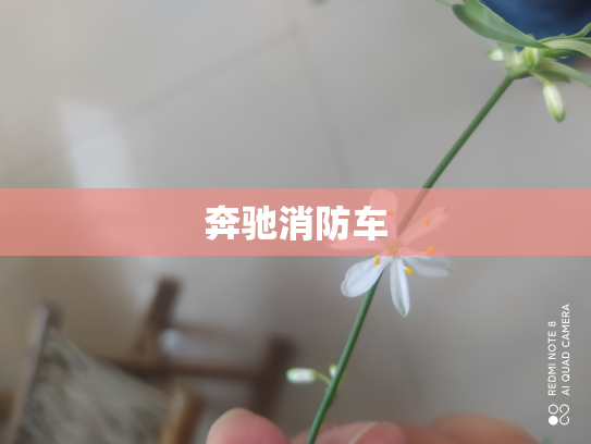 奔驰消防车