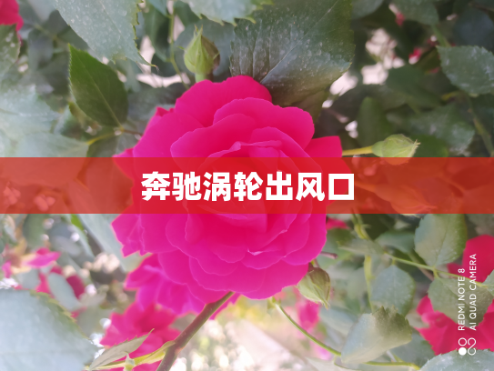 奔驰涡轮出风口