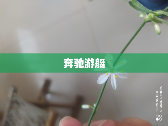 奔驰游艇