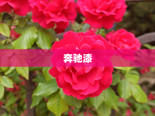 奔驰漆