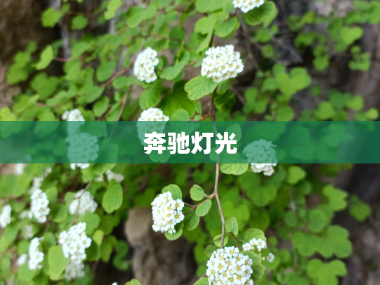 奔驰灯光
