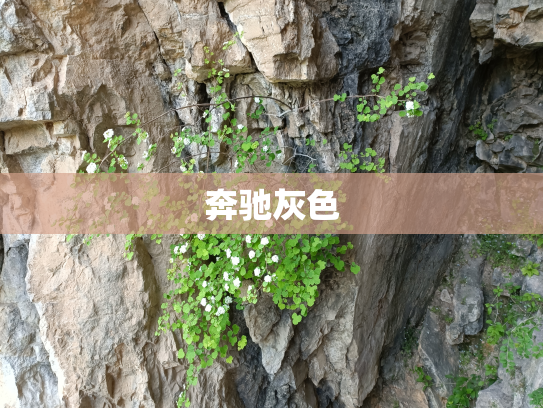 奔驰灰色