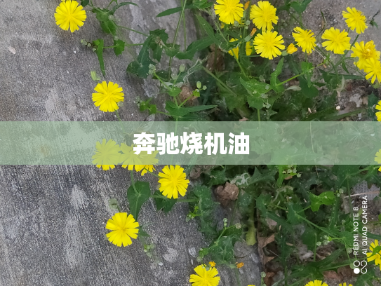 奔驰烧机油